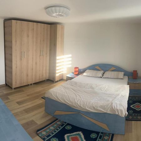 Vila Exclusive Târgu Jiu 외부 사진