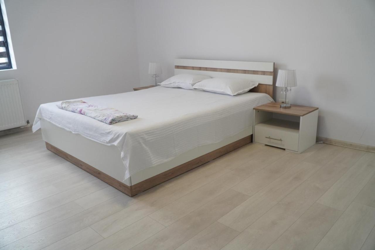Vila Exclusive Târgu Jiu 외부 사진